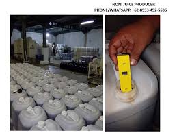 Pin Di Wa 62 853 3452 5536 Noni Juice For Weight Loss