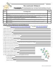 Macromolecule Webquest Key Pdf Answer Key U2013 Macromolecules Webquest Rating Before Rating After Learning Scale 4 I Can Teach Others About The Course Hero