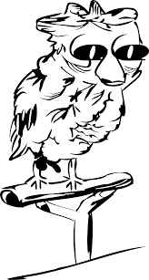 Bahagian 1 mula mula panaskan minyak. B Drawing Clip Art Gambar Sketsa Owl Hitam Putih Png Download Full Size Clipart 5488228 Pinclipart