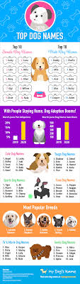 These names are the best and cutest ideas! 100 Most Popular Dog Names Ranked By Category
