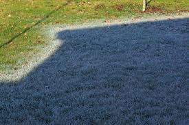 She ran as far as her feet could carry her, and just as evening was about to fall she. Frost Wikipedia