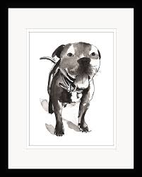 Staffordshire Bull Terrier Digital Print Download Staffy Dog Printable Art By Sintyartshop On Etsy Poesjes
