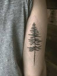 Palm tree tattoos represent a love for the ocean lifestyle, helping bring shade and calm everywhere you travel. 25 Intricate Tree Tattoos For Men In 2021 The Trend Spotter