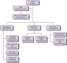 62 Prototypic Health Information Management Department