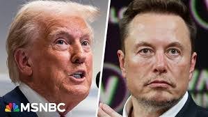 Anthony Pava's Instagram, Twitter & Facebook