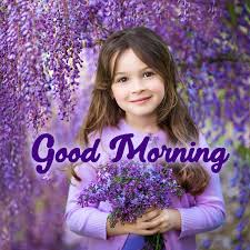 Our pictures are crafted with great love and dedication therefore, these pics will bring a smile on the faces of your relatives, friends, children, loving, etc. Best Good Morning Flowers Images For Whatsapp And Facebook Good Morning Images Quotes Wishes Messages Greetings Ecards