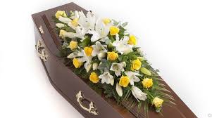 We did not find results for: Coffin Spray Flowers By Flourish