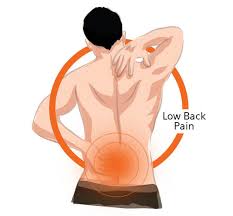 Chiropractic is a form of alternative medicine based on fixing misaligned joints, especially the spine, by manually pushing and pulling them back into position. Lower Back Pain Causes How To Prevent Lower Back Pain