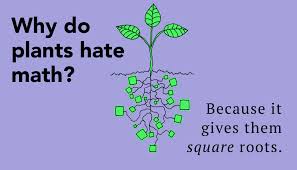 My teacher's a real joker. 55 Hilarious Math Jokes To Cause Smiles Thought Catalog