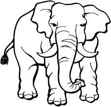 Elephants have highly developed brains which 3 or 4 times larger than that of humans but smaller in proportion to their body weight. Free Printable Elephant Coloring Pages For Kids