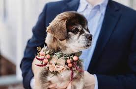 Floral Dog Collar For The Flower Dog In 2020 Floral Dog Collars Dog Flower Flower Arrangements Center Pieces
