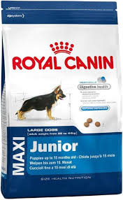 Junior Maxi