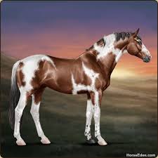 We did not find results for: Horse Eden Eventing Horses Horse Animation Horse Games
