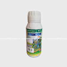 Evanton 40SL