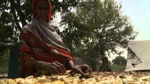What's weather in matt chandia? Destination Guide Nandgarh Punjab In Pakistan Tripmondo