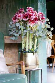 Amaryllis Arrangment Amaryllis Flowers Amaryllis Arrangement Modern Flower Arrangements