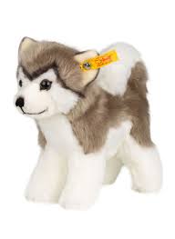 Wir sind bekannt als pomsky züchter, die lieben familien umgängliche und gesunde pumsky welpen als neue familienmitglieder geben. Husky Kuscheltier Bernie Von Steiff Bei Breuninger Kaufen