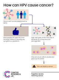 Image result for human papillomavirus symptoms