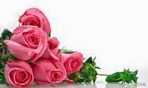pin on نور اسلام به زبان فارسی