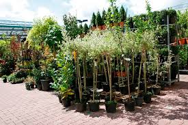Hagebaumarkt münchen is seeking suitable candidates for the job of verkäufer garten hartware in germany. Garten Pflanzenwelt Pflanzzeit Hagebaumarkt Gebr Ott Nurtingen