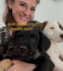 Princess Leia mention in Drowzydawg Rescue