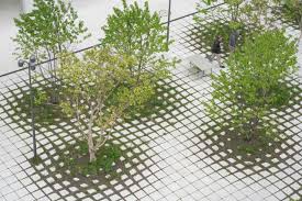 In De Buurt Van Bazel Ligt De Campus Kaiseraugst 65 000 M2 Van Het Farmaceutische Bedrijf Hoffman Tuinarchitectuur Ontwerp Hovenieren Landschapsarchitectuur