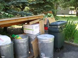 Providing a reliable trash solution, the behrens 20 gallon galvanized steel garbage can will become a staple addition to your home. Build A Trash Shed Hgtv