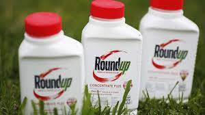Rounddown to the nearest whole number. Trial Begins For Man Alleging Roundup Weed Killer Caused His Cancer Abc7 San Francisco