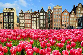 Related toolscredit card generator temporary mail fake name generator random phone numbers gamertag generator random username generator meme generator iphone 12 pro. 14 Top Rated Cities In The Netherlands Planetware