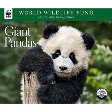 Giant Pandas 2021 Calendar The Giant Panda Is Not The Only Panda In Existence The Red Panda Of The Family Ailuridae Inhabits Southwe Giant Panda Panda Wwf