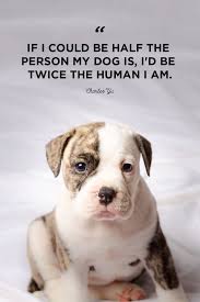 The following tuesday quotes will help you maintain positive momentum throughout your week. 40 Best Dog Quotes Cute Sweet Quotes About Dogs