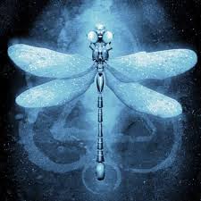Coheed And Cambria Dragonfly With Keywork Musik At Least 3 D