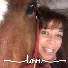 Horse trainer near Wilbraham MA needed