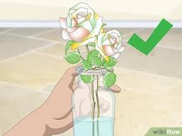 Mewarnai gambar mewarnai gambar bunga dalam pot. 3 Cara Untuk Mewarnai Mawar Wikihow