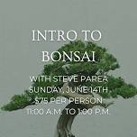 Intro to Bonsai
