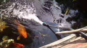 Most everybody out there is over stocked and under filtered and there is a product out there for everybody and every koi pond. Quick And Easy Koi Pond Water Changes Youtube