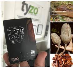 Nama tempatannya, pokok buah tunjuk langit. Noah Zachri Home Facebook