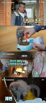 지금의 당신에게 소중한 시간은 언제인가요? ë§ˆë¦¬ì™€ ë‚˜ ì²œí•˜ìž¥ì‚¬ ê°•í˜¸ë™ í† í† ì—ê²Œ ë„ˆë„ ëª¨ëž˜ ì¢‹ì•„í•˜ë„¤ ë§¤ì¼ê²½ì œ