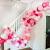 Pink Balloons
