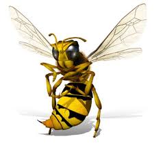 Black And White Wasp Like Insect Uk 3d Wasp Tattoo Wasp Tattoo Egyptian Cat Tattoos Bee