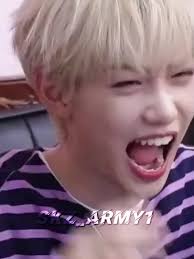 Double Life Pharrell Felix Straykids