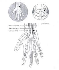 Heart 7 Acupuncture Point Chinese Medicine Living Acupressure Acupuncture Benefits Acupuncture