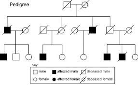 foundation text neurogenetics the complexity of individuality