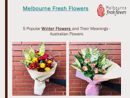 The classic snowdrops and snowflakes galanthus and acis, with pretty white flowers. Winter Flowers In Australia And Their Meanings Melbourne Fresh Flowers By Fresh Flowers Issuu
