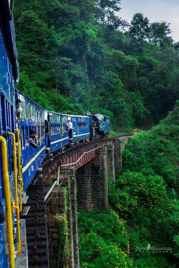 Ooty & Nilgiri Mountain Railway Image 3