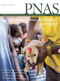 It will not interfere with any cancer medications (except a contrast study where dye is introduced into the dogs stomach may show that a mass is inside or outside the colon.endoscopy of the colon may. Efficient Detection And Post Surgical Monitoring Of Colon Cancer With A Multi Marker Dna Methylation Liquid Biopsy Pnas