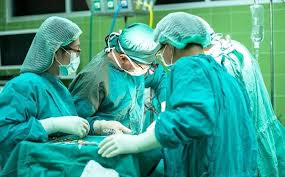 問答集 國際事務專區 科技研發專區 紅火蟻專區 認識農藥專區 作物有害生物抗藥性專區 狂犬病專區 抗藥性主題專區 嚴重特殊傳染性肺炎. 2i7e 0lbtkrram