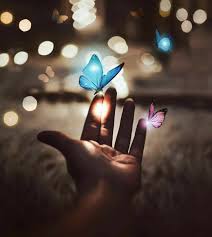 Purple butterfly images for dp. ØµÙˆØ± Blue Butterfly Wallpaper Beautiful Wallpapers Backgrounds Butterfly Wallpaper
