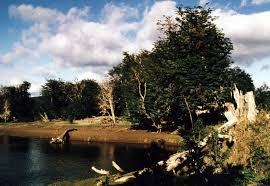 Find the ideal price from millions of deals and save your money. Rio San Juan Punta Arenas Mapio Net