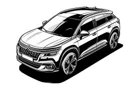 Image result for Brun Guaranja 2011 Citroen